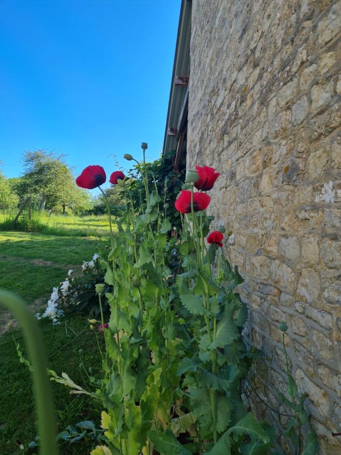 Domaine De La Cour Vautier Bed and Breakfast Mandeville-en-Bessin Eksteriør billede