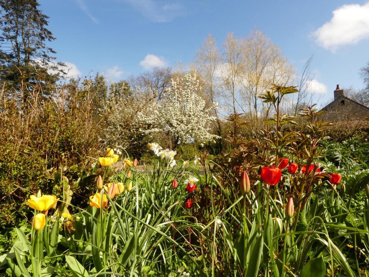 Domaine De La Cour Vautier Bed and Breakfast Mandeville-en-Bessin Eksteriør billede