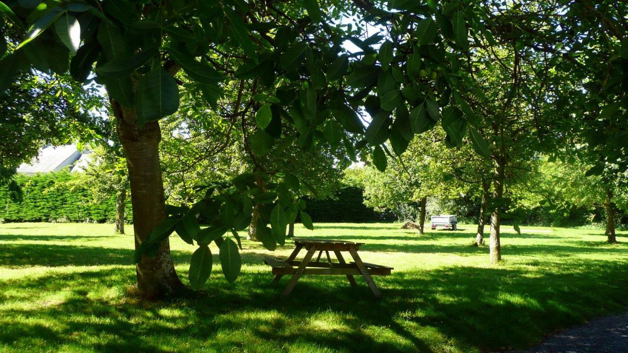 Domaine De La Cour Vautier Bed and Breakfast Mandeville-en-Bessin Eksteriør billede